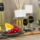 Freskues Bergamot Fragrance Home Air 500 ml me shkopinj - Ladolcesicilia Viadurini