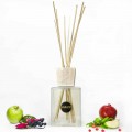 Reed Diffuser Shegë 2,5 Lt me shkopinj - Soledipantelleria