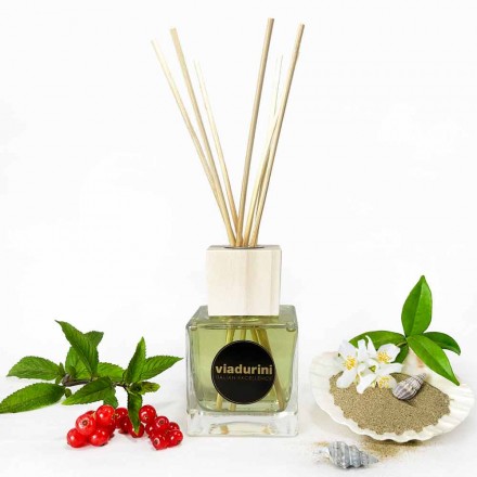 Ambient Fragrance Vanilla and Mou 200 ml me shkopinj - Sabbiedelsalento Viadurini