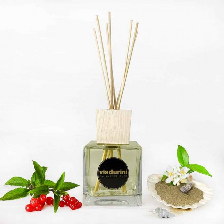 Vanilla and Mou Room aromë 500 ml me shkopinj - Sabbiedelsalento Viadurini