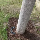 Drita e jashtme LED 9W me veshje të zezë Matt prej alumini - Tudor Viadurini