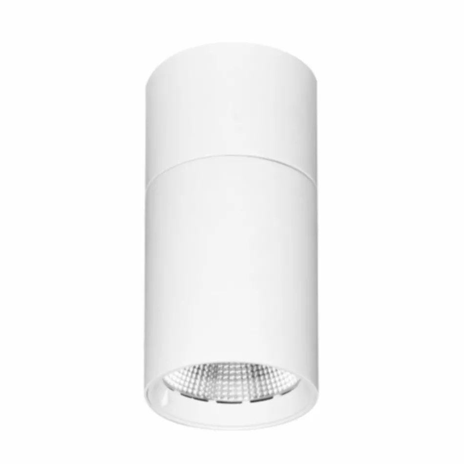 Dritë tavani Led e rregullueshme në alumin e bardhë ose të zezë - pikë Viadurini