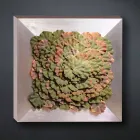 Pamje Moderne e Murit në Lule Metalike dhe Artificiale Prodhuar në Itali - Gonio Viadurini