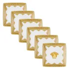 Rosenthal Versace I Love Baroque 6 Kupa Porcelani Sheshtë katror - Barok Viadurini