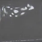 Rozetë qeramike për përbërjen e llambave Battersea 975ST - Toscot Viadurini