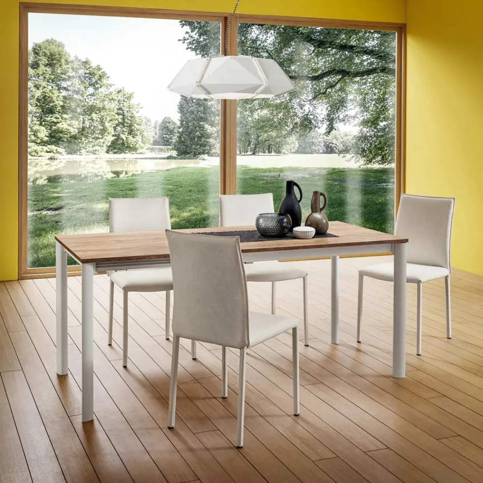 Karrige kuzhine e veshur me susta tërësisht me lëkurë ekologjike e prodhuar në Itali, 2 copë - Maria Viadurini