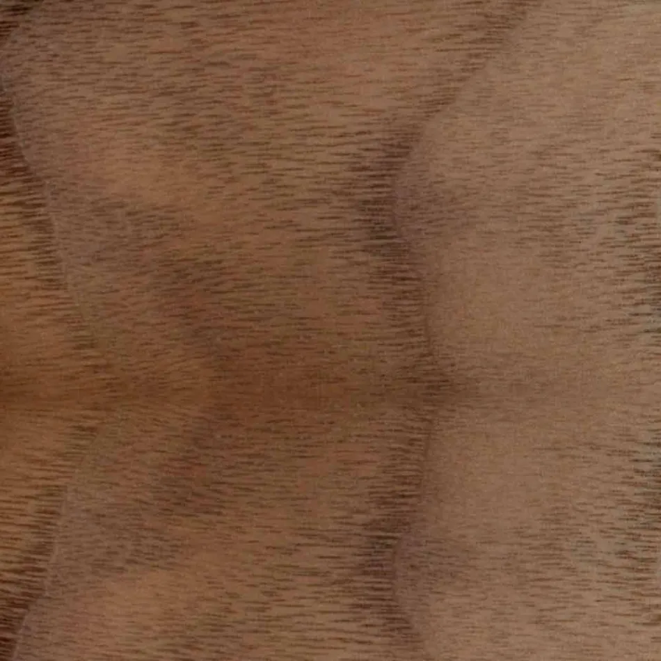 Karrige e mbushur me bazë druri lisi Prodhuar në Itali - Sebastian Viadurini