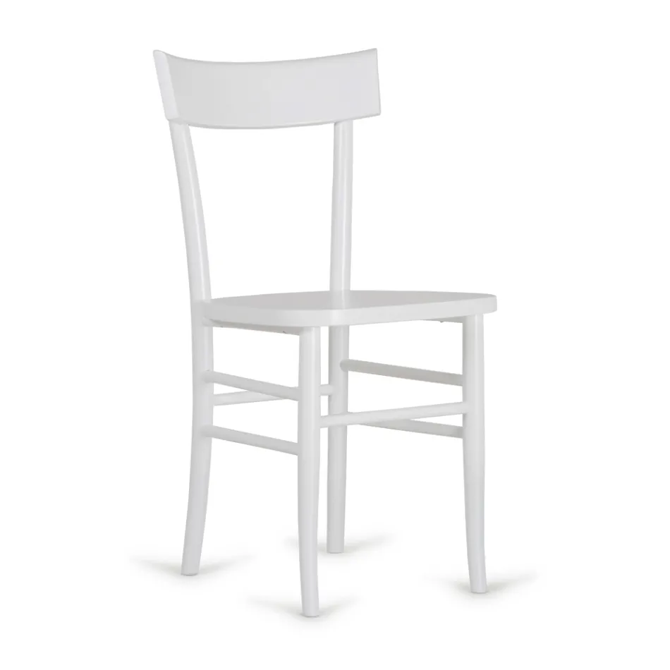 Karrige me dizajn modern 4 copa druri ahu - Stella Viadurini