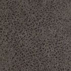 Karrige jetese me baze merimangash ne çelik krom Made in Italy - Tagata Viadurini