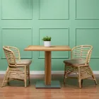 Karrige për kopshtin në bastun prej palme kacavjerrëse natyrale me jastëk të përfshirë - Torvi Viadurini