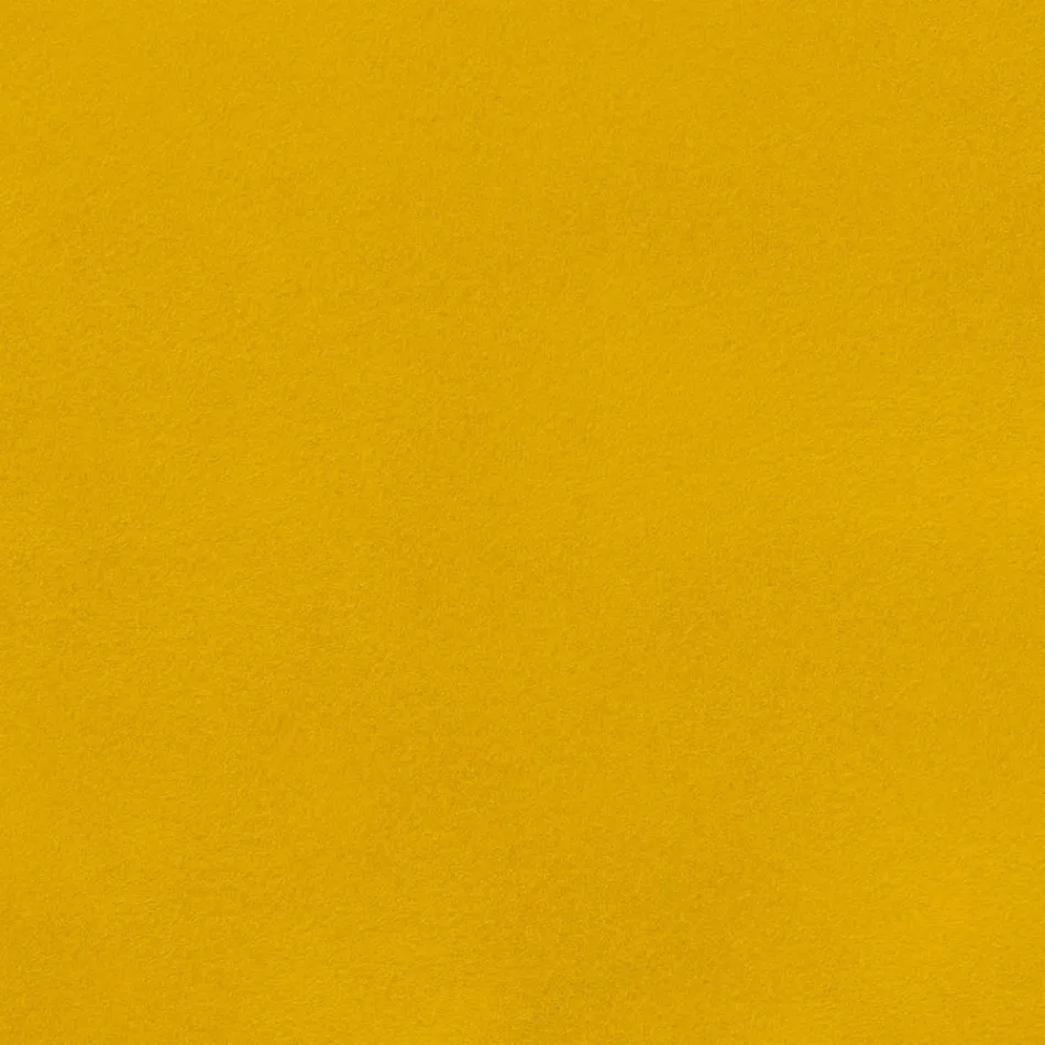 Karrigia e dhomës së ngrënies në kadife me këmbë të zeza metali, 4 copë - Hana Viadurini