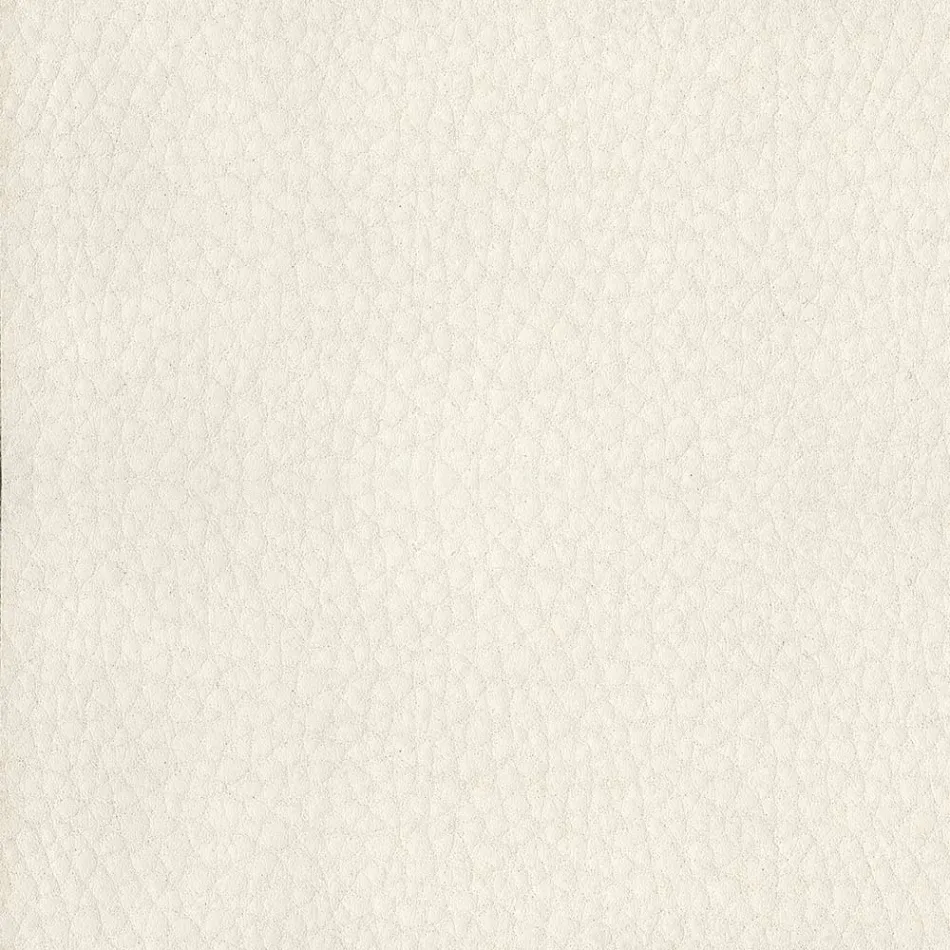 Karrige e dhomës së ngrënies e mbuluar me lëkurë ekologjike Prodhuar në Itali - Giulia Viadurini