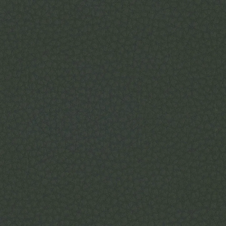 Karrige e dhomës së ngrënies e mbuluar me lëkurë ekologjike Prodhuar në Itali - Giulia Viadurini