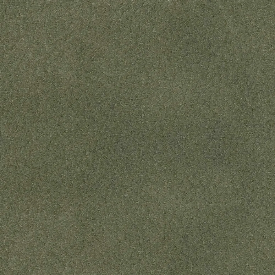 Karrige e dhomës së ngrënies e mbuluar me lëkurë ekologjike Prodhuar në Itali - Giulia Viadurini