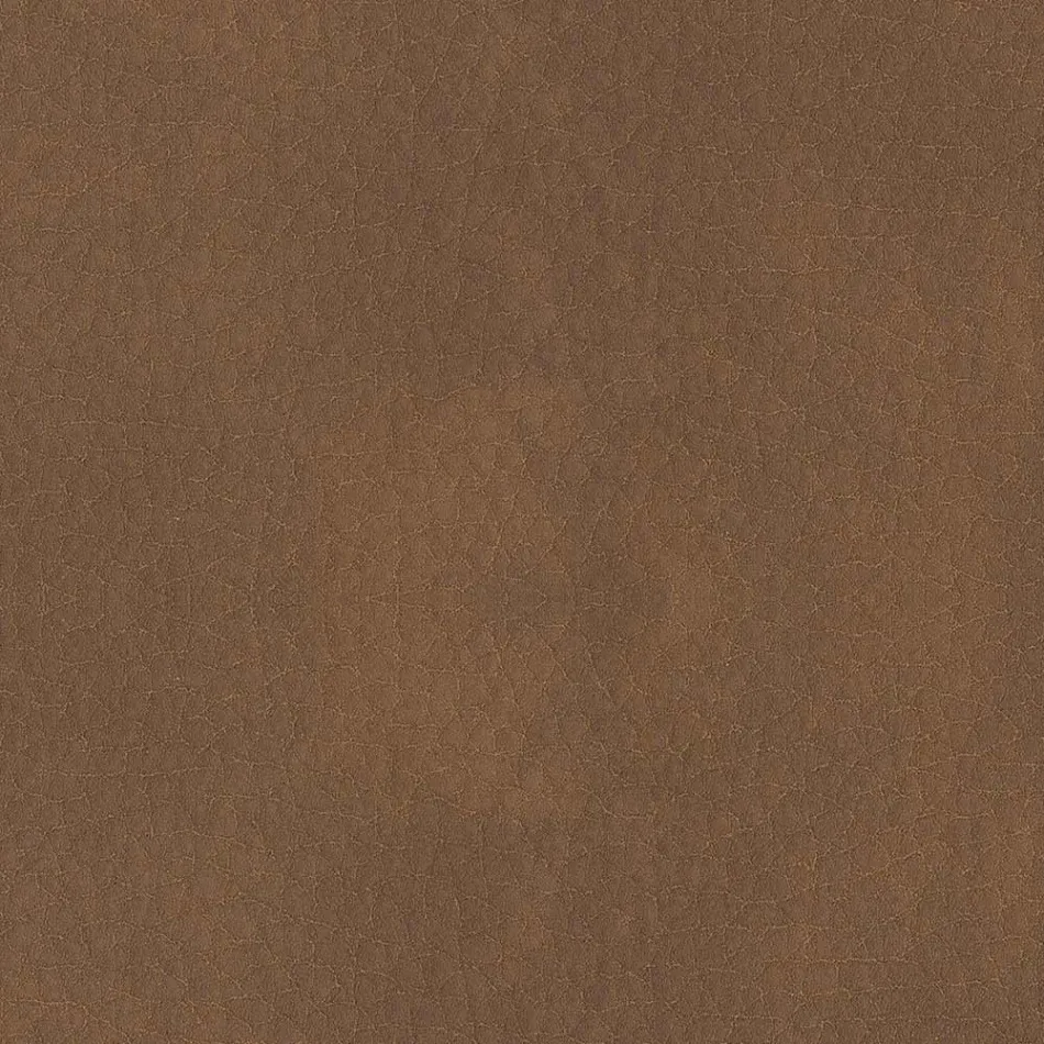 Karrige e dhomës së ngrënies e mbuluar me lëkurë ekologjike Prodhuar në Itali - Giulia Viadurini