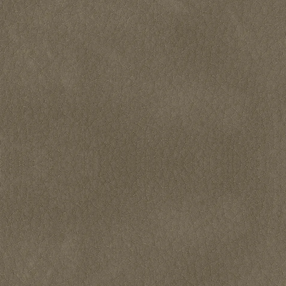 Karrige e dhomës së ngrënies e mbuluar me lëkurë ekologjike Prodhuar në Itali - Giulia Viadurini