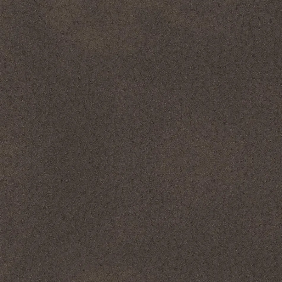 Karrige e dhomës së ngrënies e mbuluar me lëkurë ekologjike Prodhuar në Itali - Giulia Viadurini