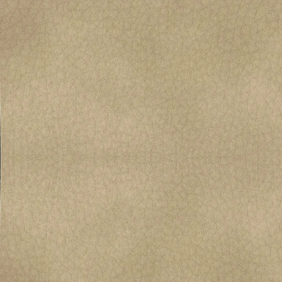 Karrige e dhomës së ngrënies e mbuluar me lëkurë ekologjike Prodhuar në Itali - Giulia Viadurini