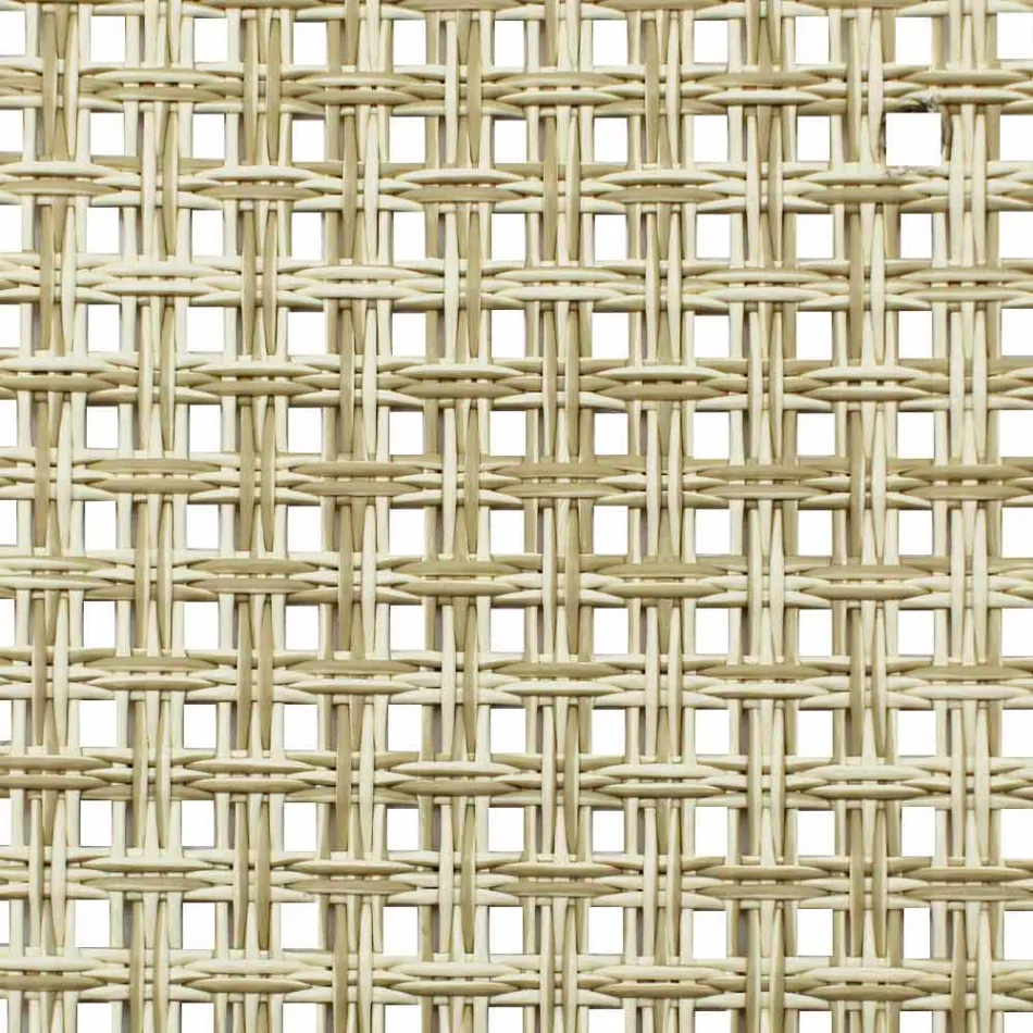 Karriera e Drejtorit të Palosjes në Canvas Made in Italy, 2 Copë - Susy Viadurini