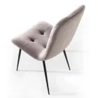 Karrigia e dhomës së ngrënies me tapiceri prej kadifeje, rezistente ndaj njollave, 4 copë - Kylie Viadurini