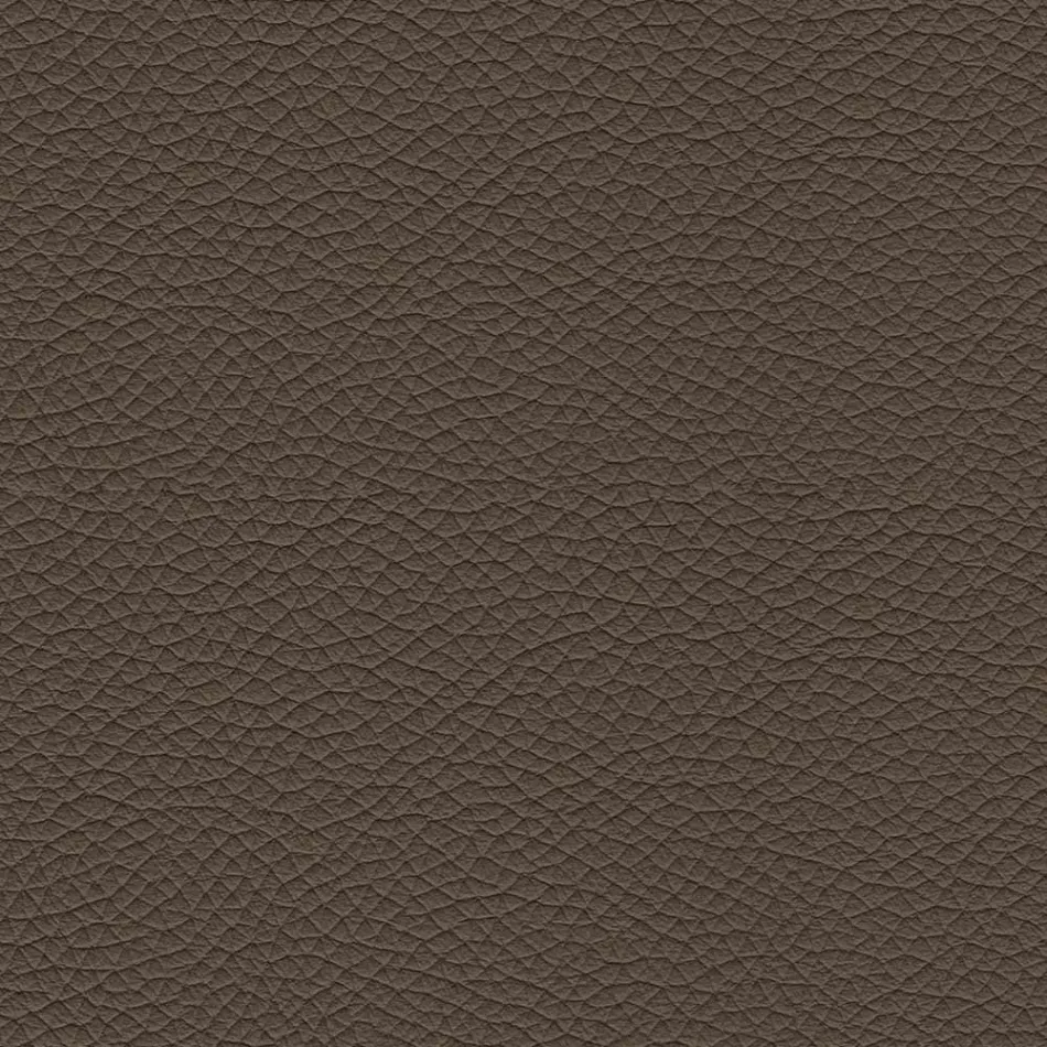 Karrige e dhomës së ngrënies me sedilje e veshur me lëkurë Prodhuar në Itali - Giulia Viadurini