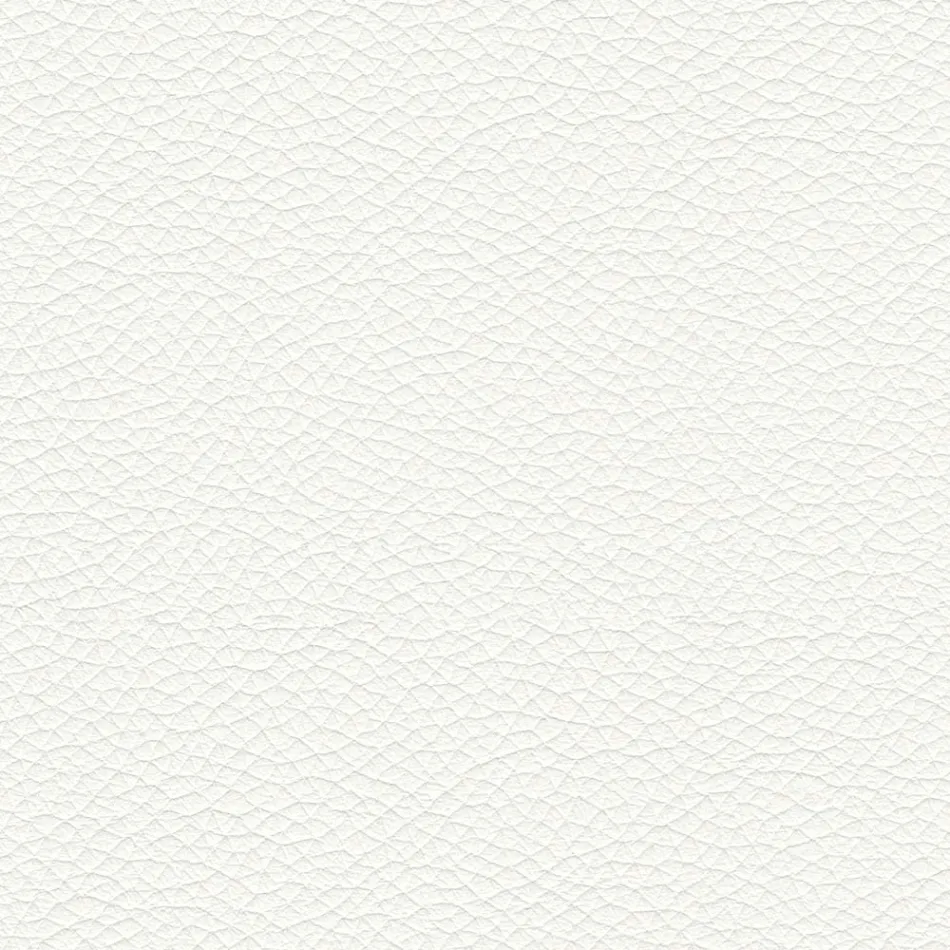 Karrige e dhomës së ngrënies me sedilje e veshur me lëkurë Prodhuar në Itali - Giulia Viadurini