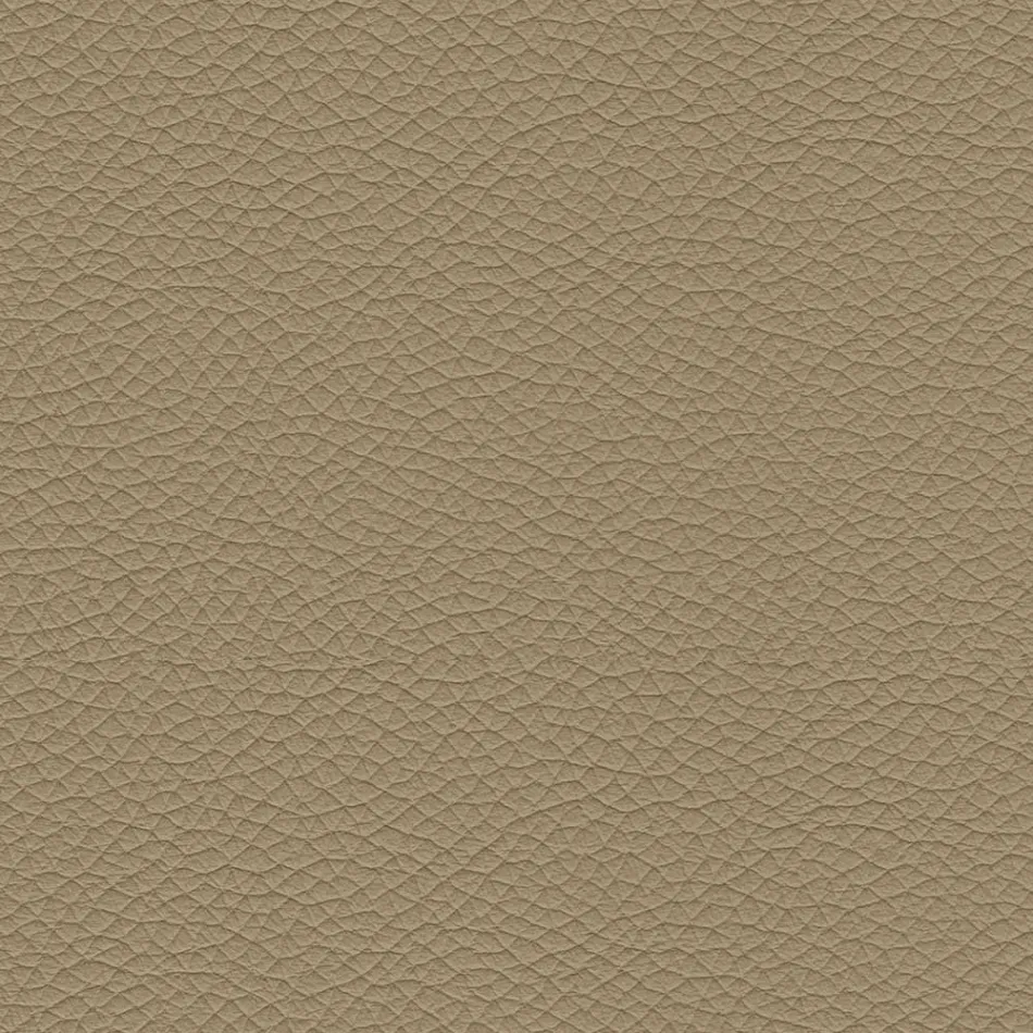 Karrige e dhomës së ngrënies me sedilje e veshur me lëkurë Prodhuar në Itali - Giulia Viadurini