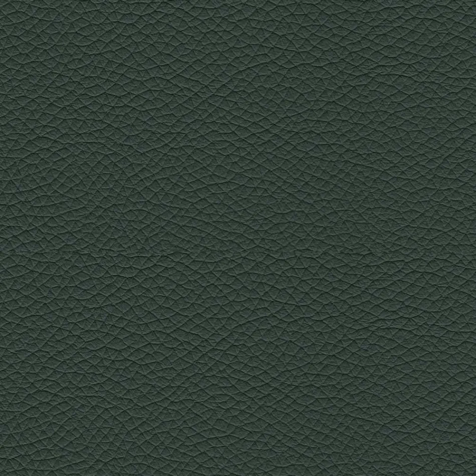 Karrige e dhomës së ngrënies me sedilje e veshur me lëkurë Prodhuar në Itali - Giulia Viadurini