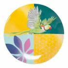 Shërbimi prej Porcelani dhe Gres Dinnerware 18 Piece Colored Design - Tropikal Viadurini