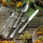 Set me 24 takëme në çelik të lëmuar me gdhendje Prodhuar në Itali - Nara Viadurini