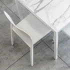 Set me 4 karrige të jashtme dhe të brendshme nga polipropileni me ngjyra të ndryshme - të ndërtuara Viadurini