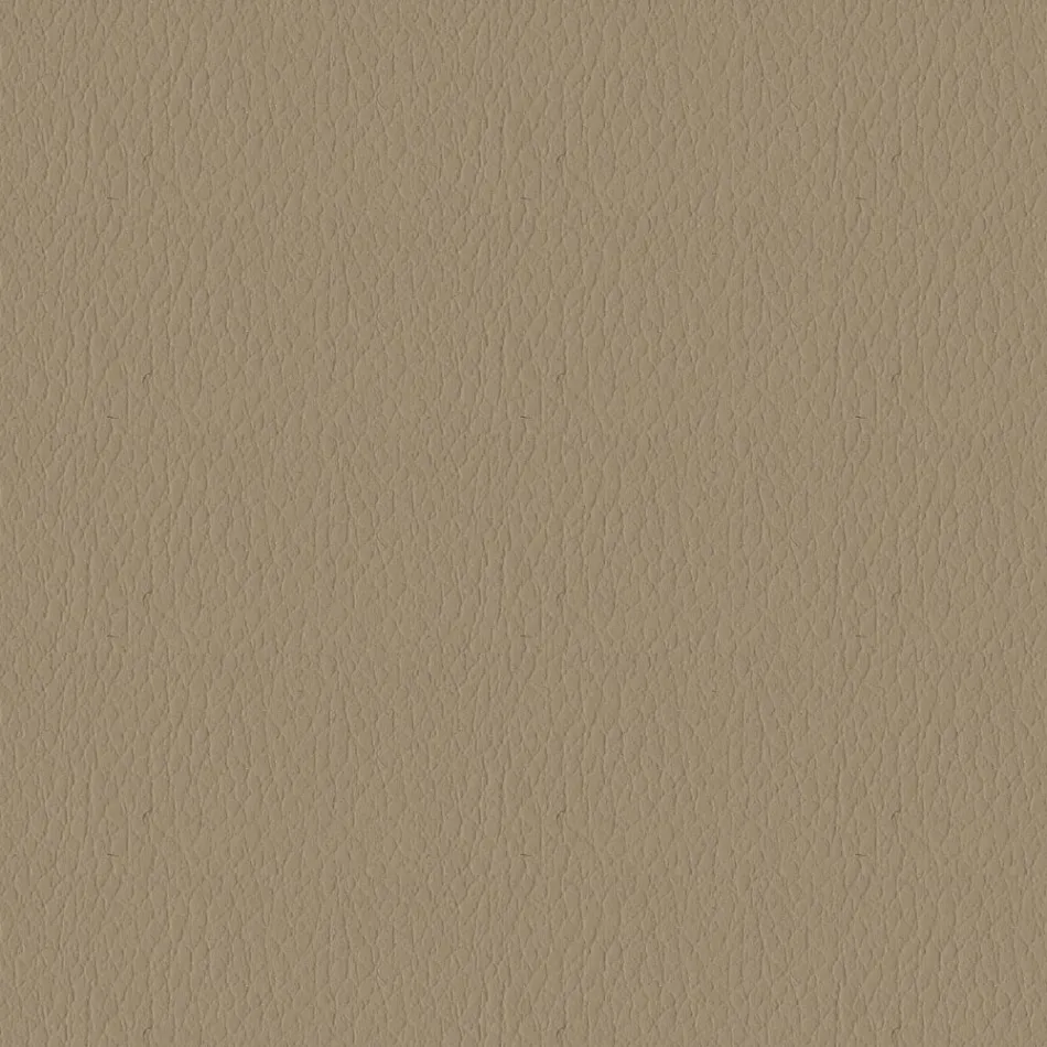 Karrocë prej lëkure eko dhe çeliku me ashensor me gaz Prodhuar në Itali - Lorenza Viadurini