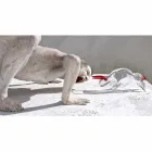 Ornament në formë demi në Qelq të Kuq dhe Transparencë Prodhuar në Itali - Torero Viadurini