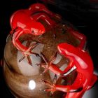 Ornament qelqi me ngjyra në formën e një veze me gekos prodhuar në Itali - Huevo Viadurini