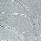 Pasqyrë mur drejtkëndëshe prej druri të bredhit të bërë në Itali Achille Viadurini