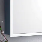 Pasqyrë në mur me 2 dyer moderne, ndriçim LED, Adele Viadurini