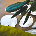 Dizajn i rrumbullakët Bordi i Prerjes së Mermerit të Bardhë Carrara Prodhuar në Itali - Masha Viadurini