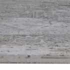 Designer Rug në Viscose dhe Acrylic Grey Grey me Dizajn - President Viadurini