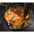 Tavolinë kafeje me dizajn të ulët me majë qelqi dhe druri Bigo Viadurini