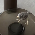 Tavolinë kafeje me majë xhami dhe bazë metalike Prodhuar në Itali - Batulla Viadurini