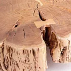 Tavolinë kafeje Homemotion me majë të formuar në dru akacie - Nabucco Viadurini