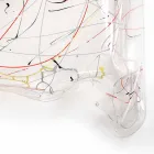 Tavolinë kafeje pleksiglase moderne e bërë në Itali, Azi Viadurini