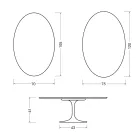 Tavolinë kafeje Saarinen Tulip Ovale 41 cm në ngjyrë qeramike me shkëlqim Statuario Florim - Scarlet Viadurini