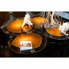 Tavolinë kafeje në dru dhe çelik me këmbë metalike prodhuar në Itali - Damask Viadurini