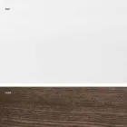 Tavolinë e zgjatur e bërë nga qelqi dhe druri i ngurtë i bërë në Itali, Dimitri Viadurini