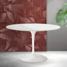 Tavolinë e rrumbullakët Saarinen Tulip H 74 cm në ngjyrë të bardhë mat, qeramikë Florim - e kuqe e ndezur Viadurini