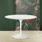 Tavolinë tulipani Eero Saarinen H 73 me majë mermeri Carrara Made in Italy - Scarlet Viadurini