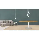 Tavolinë tulipani Eero Saarinen H 73 Oval në lis natyral Made in Italy - Scarlet Viadurini
