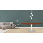 Tavolinë tulipani Eero Saarinen H 73 Oval në lisi me njolla vishnje Prodhuar në Itali - Scarlet Viadurini