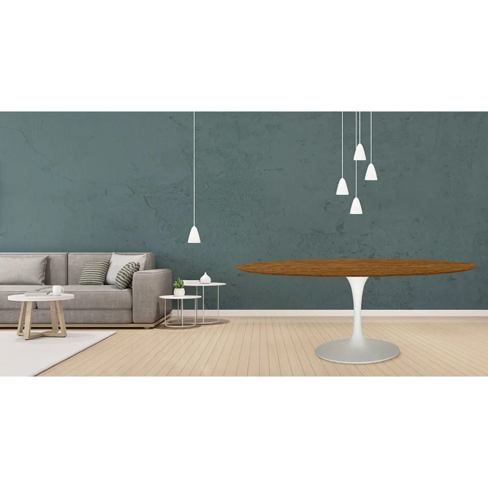 Tavolinë tulipani Eero Saarinen H 73 Oval në lis me njolla arre të lehta Made in Italy - Scarlet Viadurini